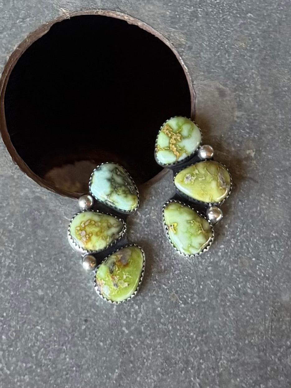 Palomino Cluster Studs