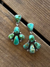 Load image into Gallery viewer, Sonoran Statement Earrings
